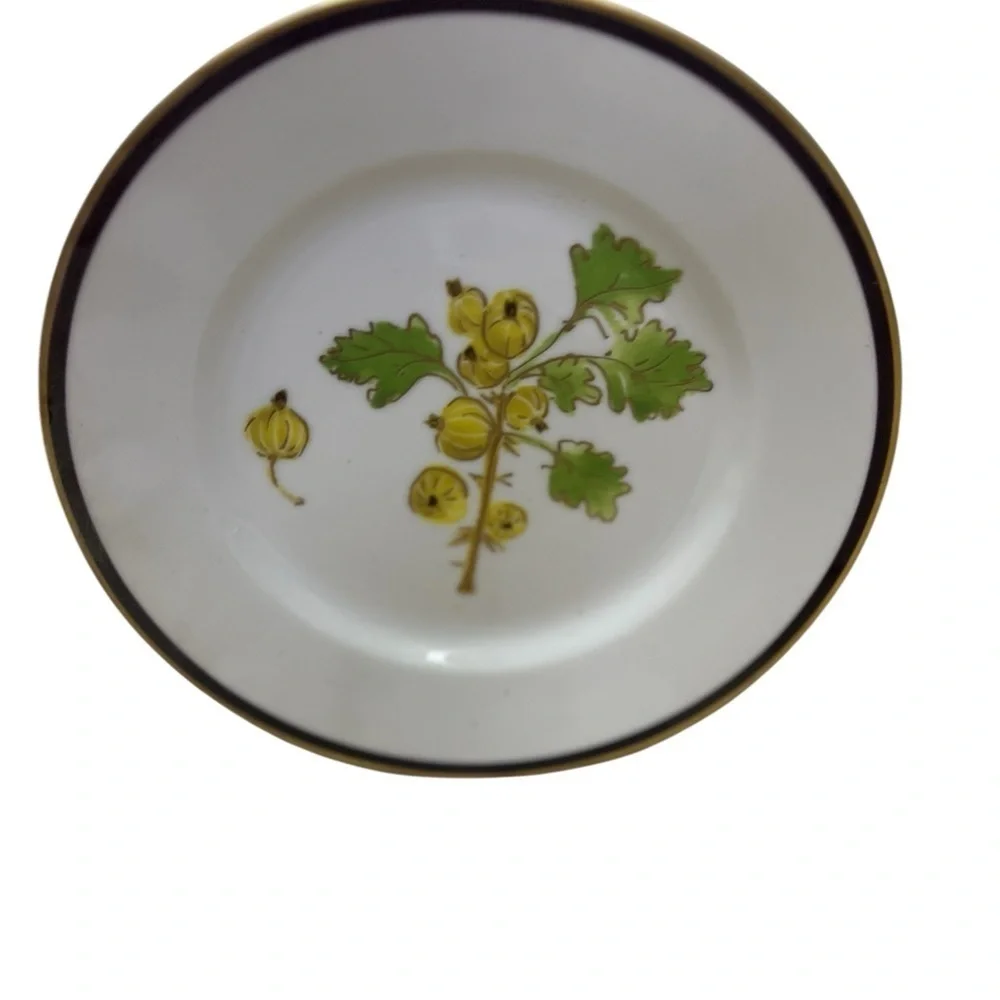 Set of 4 CRATE & BARREL Berries Fruits DESSERT Salad Plates Gold Rim 8.25”